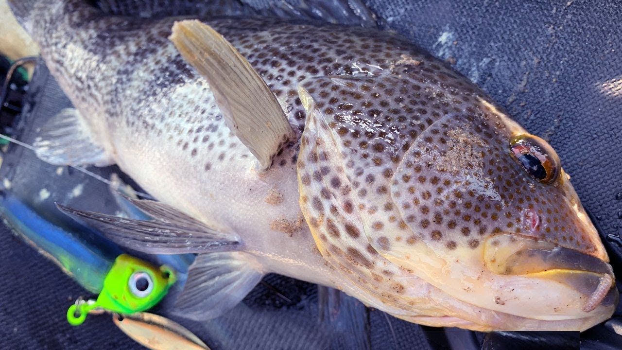 UNDERSPIN / SLUG Combo - 