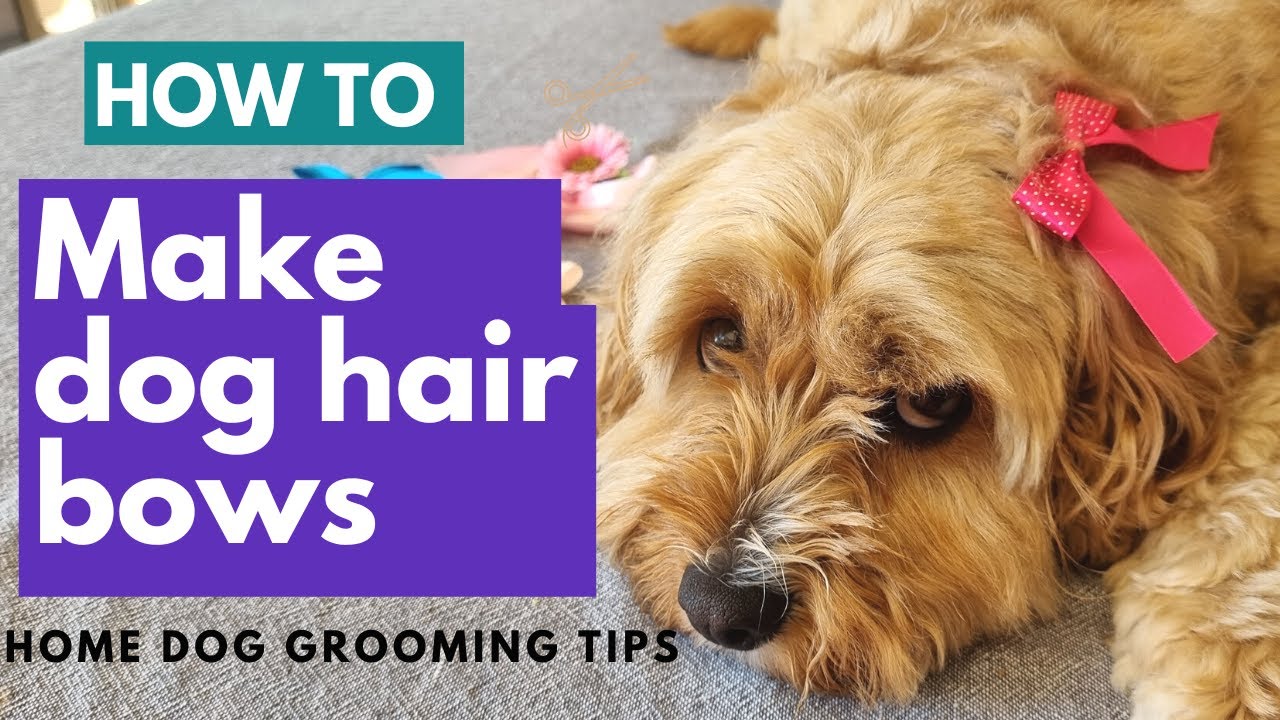 How To Make Dog Grooming Bows