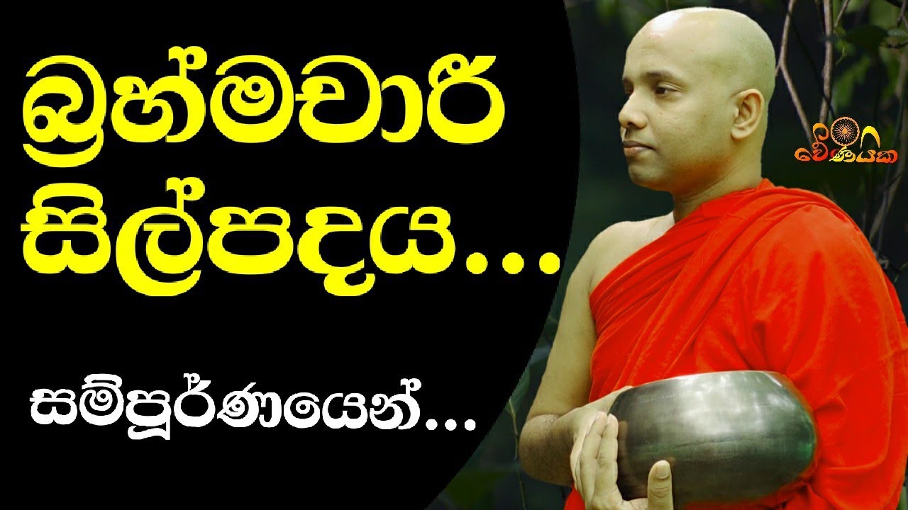 බ්‍රහ්මචාරී සීලය ගැන සම්පූර්ණයෙන් දැනගන්න | Celibate Sil Verse |wenayika tv