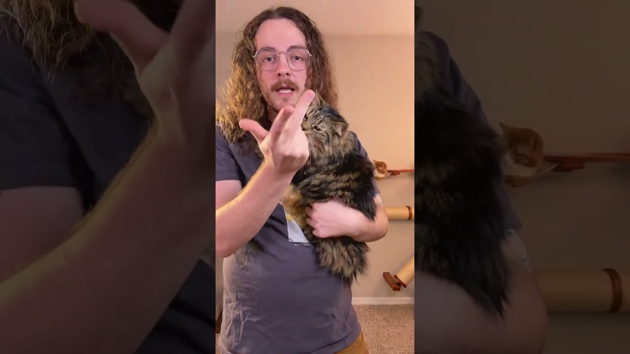 I love my trash cat