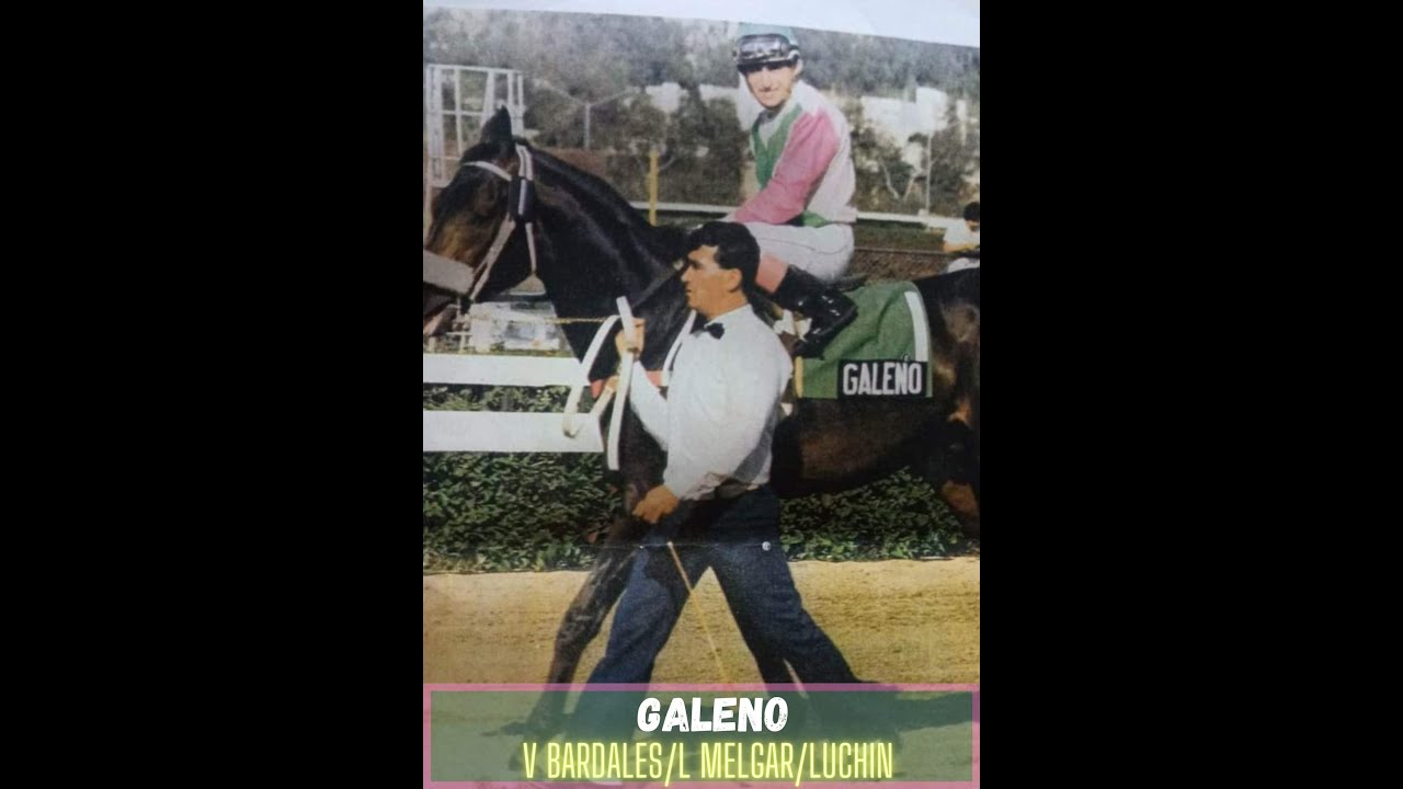 LATINOAMERICANOS GANADOS POR CABALLOS PERUANOS ACTUAL