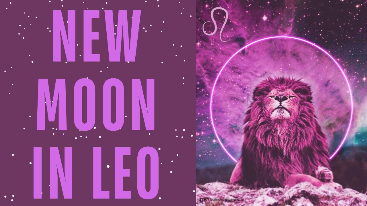NEW MOON IN LEO♌️ LOVE IT, LOVE IT, LOVE IT😍🥰 THE ONLY WAY IS UP FROM HERE ON OUT!! 🤩🙌✨