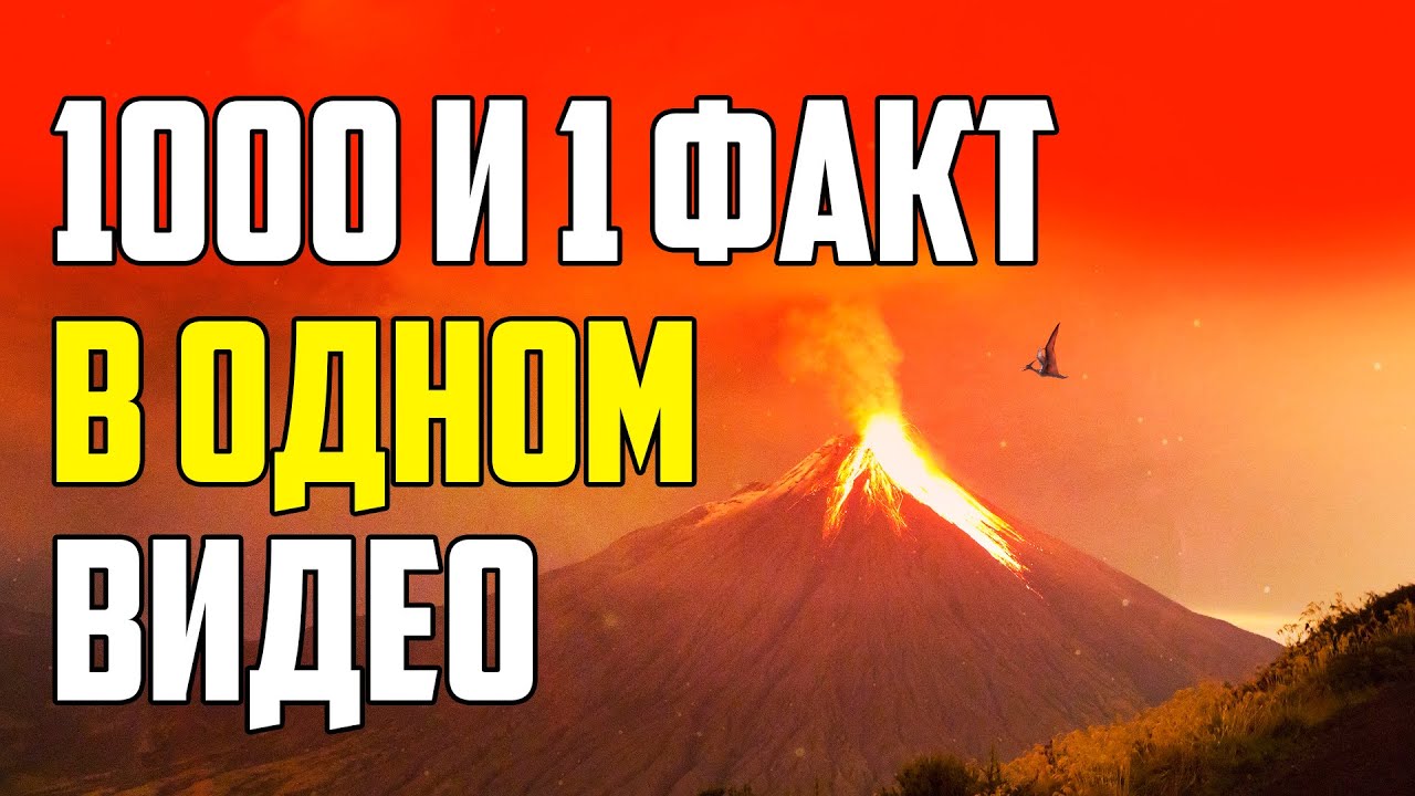 1000 И 1 ФАКТ В ОДНОМ ВИДЕО