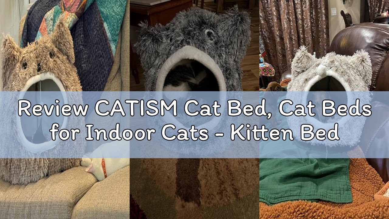 Review CATISM Cat Bed, Cat Beds for Indoor Cats - Kitten Bed Cave Washable, Soft Plush Hooded, Remov