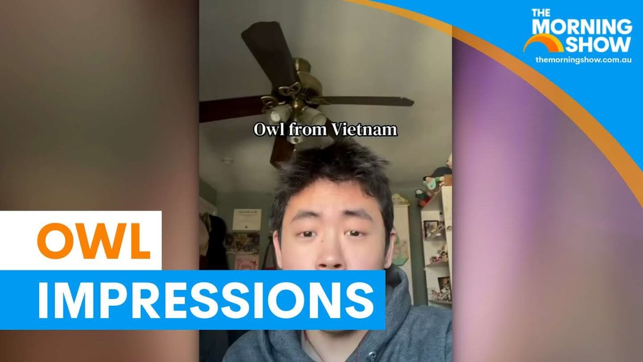 Viral owl impression trend takes over social media | The Morning Show