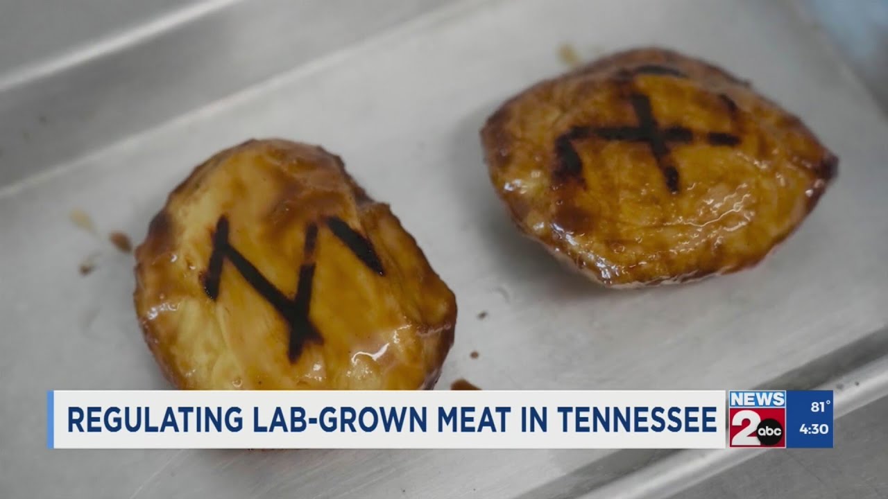 Regulating lab-grown meat in Tennessee