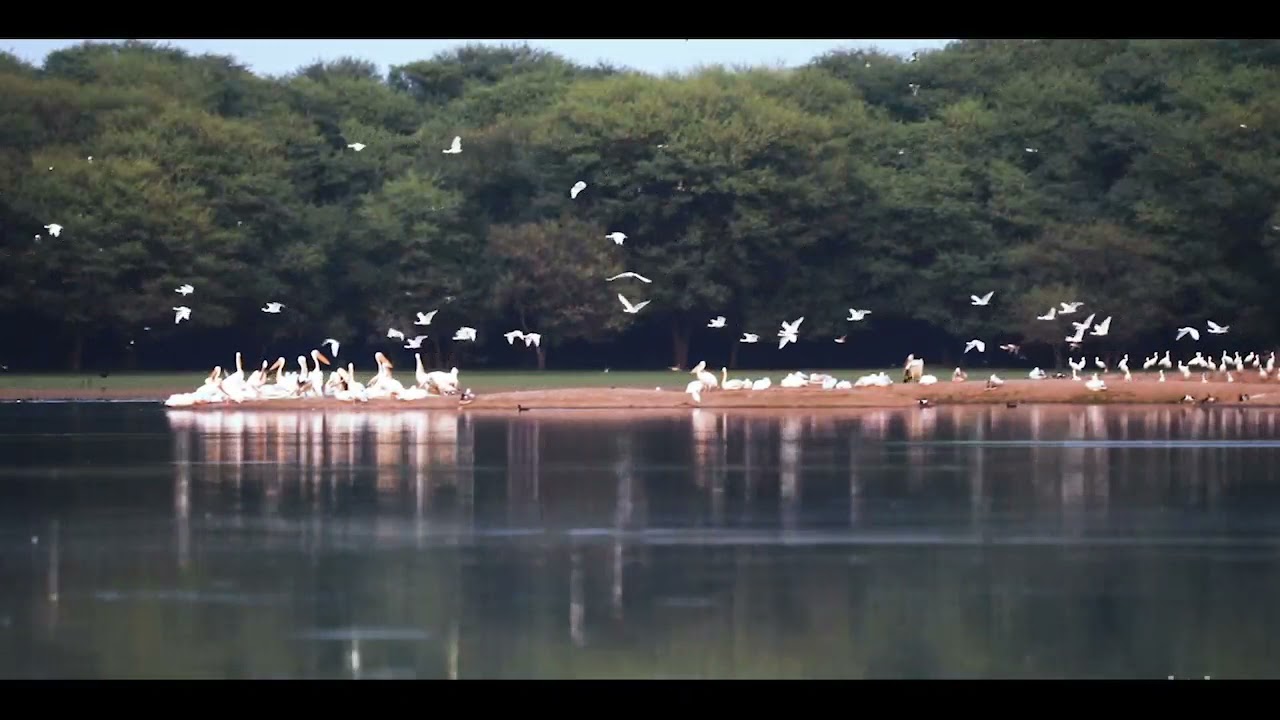 India: The Emerging Defence Manufacturing Hub, marching towards next DefExpo 2022 in Vibrant Gujarat