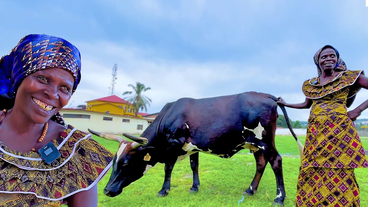 INTAHE Yuko UMUGABO Yahatswe KUNYICA🥺/WAMUGORE Atunze INKA Ifise Ubwenge🐄//Abavuga Ko IRIMWO UBUROZI