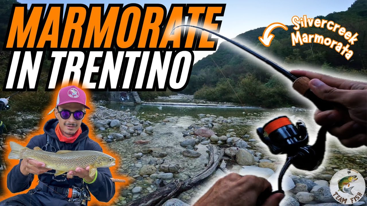 SilverCreek MARMORATA in TRENTINO | Spinning alla marmorata!