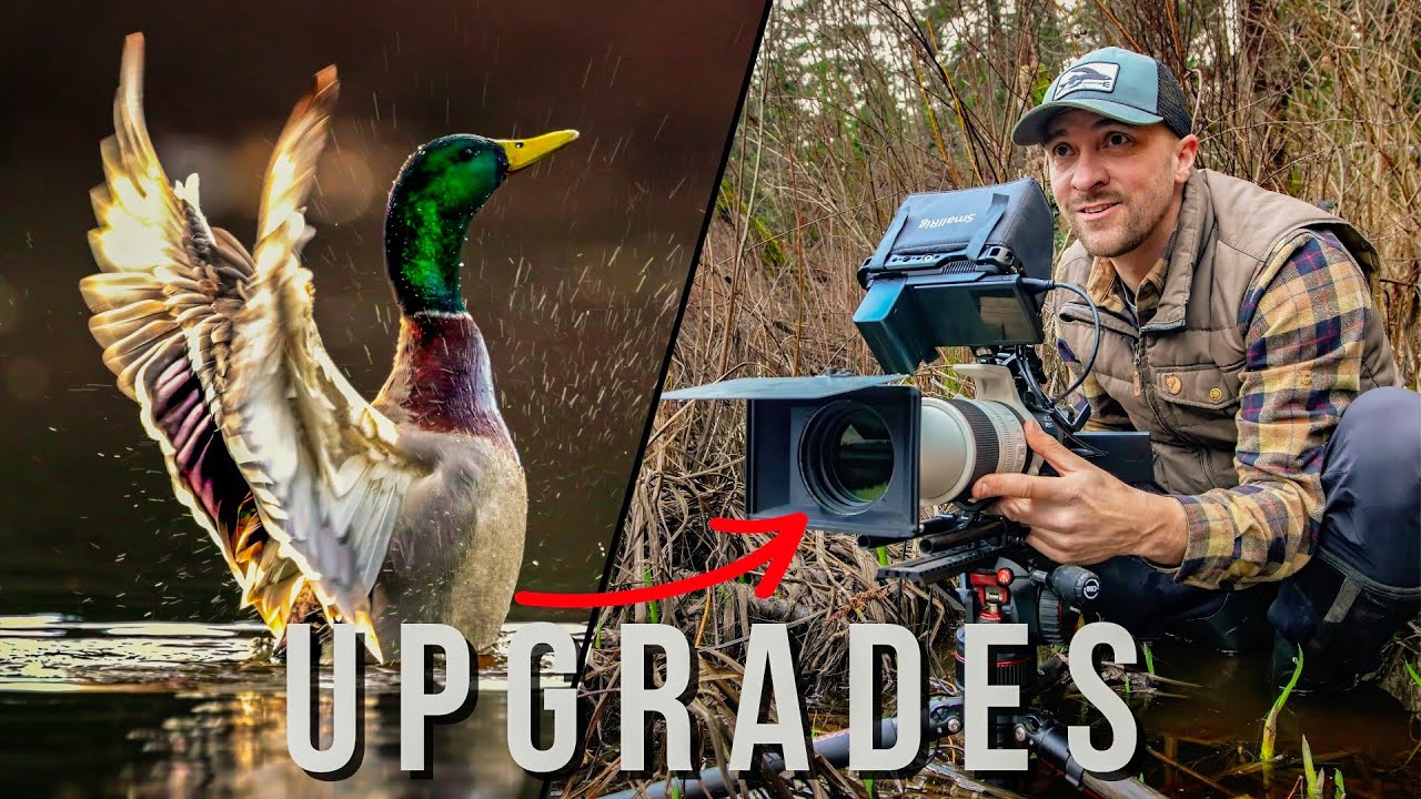 Rig Your Camera For AMAZING Wildlife Videos