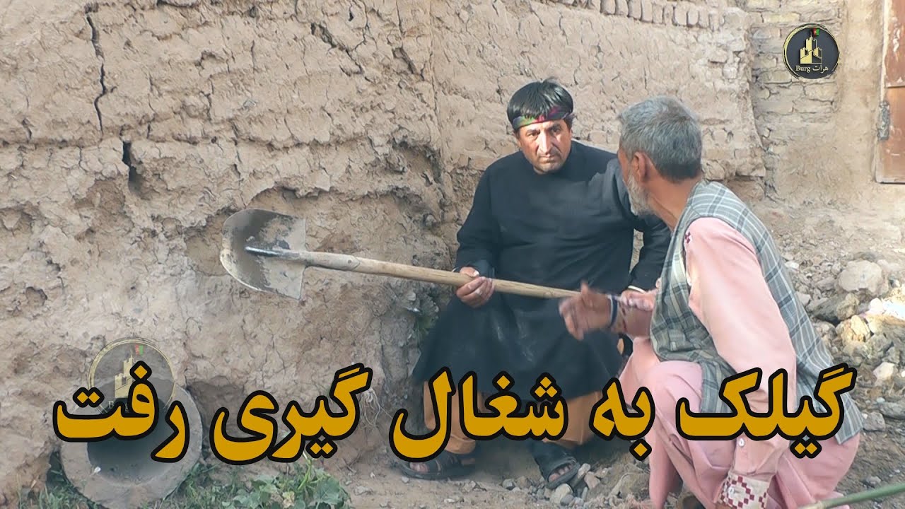 گیلک به شقال گیری رفت
