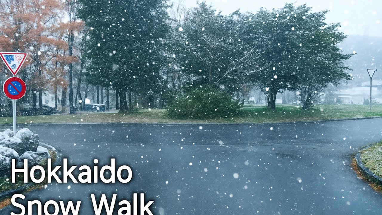 4K- Hokkaido Snowfall: Light Snowfall walk before sunset | Japan winter ambience