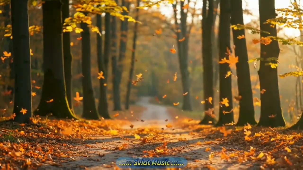 Lo-fi - 🍁Goodbye autumn🍁 - (Lo-fi + Hip-hop) - 👉🎧👈