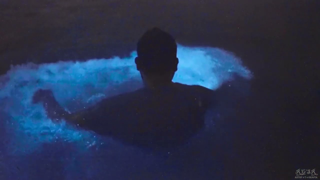 Increíble Bioluminiscencia en Xpicob, Campeche!