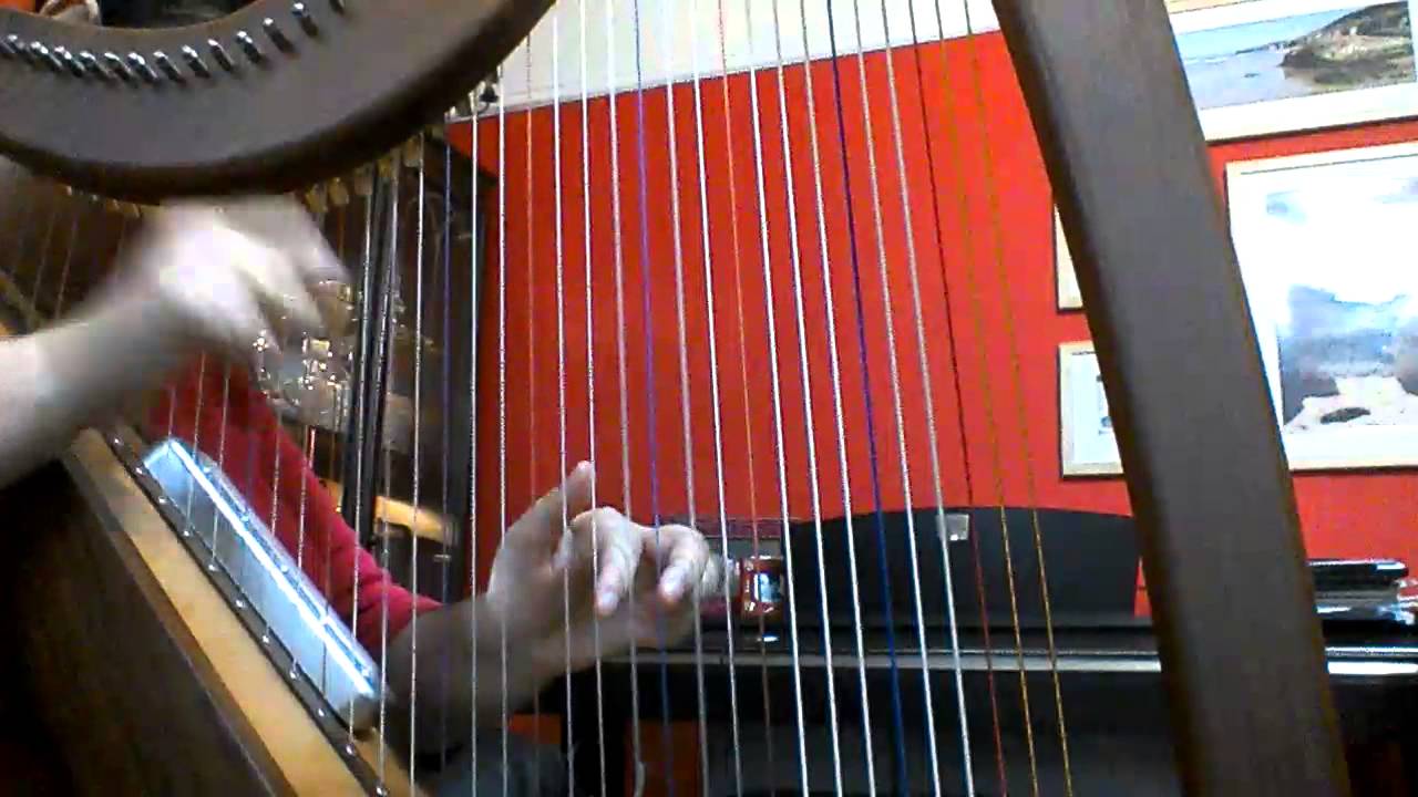 Afer ventus on harp ( Enya)