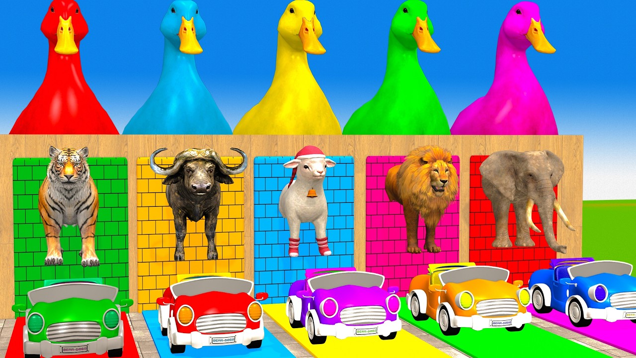 Long Slide Game With Cow Elephant Gorilla Hippopotamus Tiger - 3d Animal Game - Funny 3d Animals