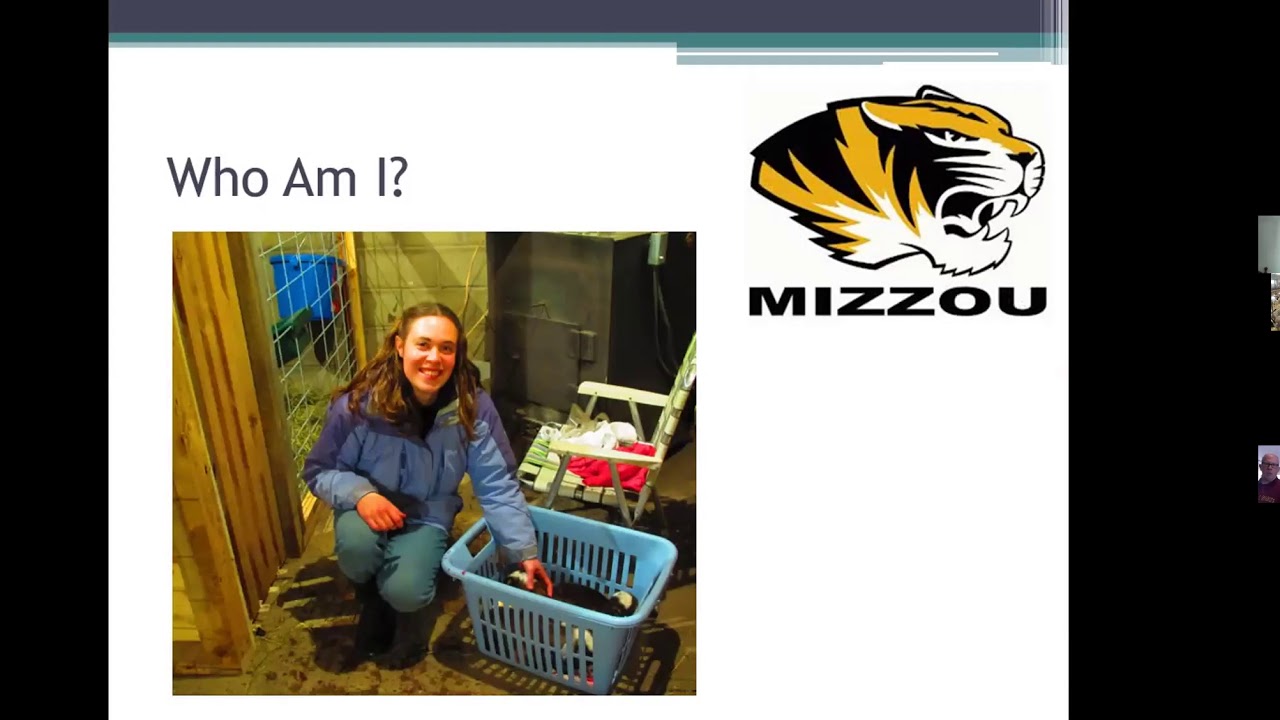 Managing and Feeding the Transition Doe Webinar