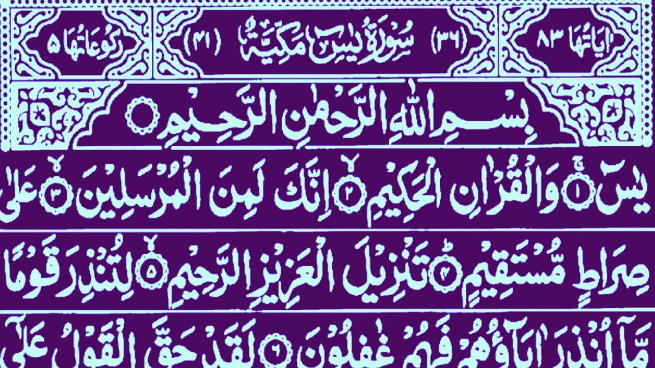 Surah Yaseen | Surah Ar Rahman | Beautiful Reaction Surah Yaseen | #tilawatyaseen 