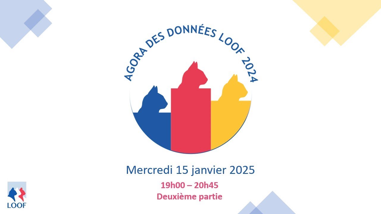Agora des Données 2025 : Deuxième partie