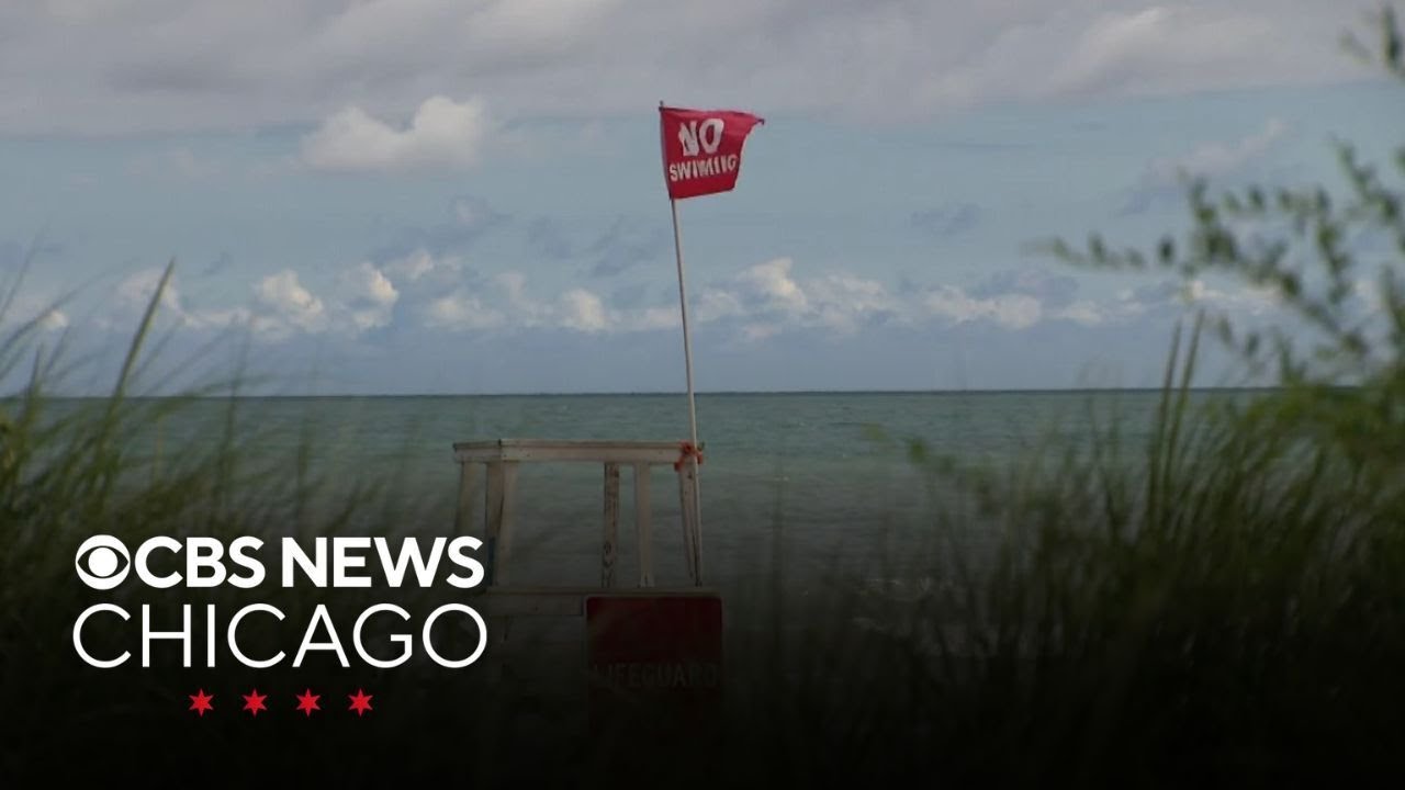 Niles North High School basketball player dies after being pulled from lake in Evanston