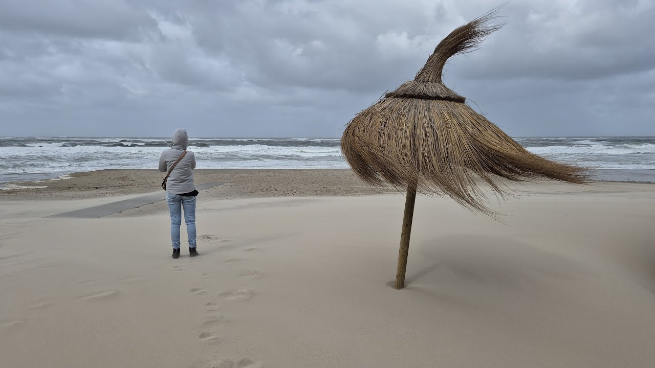 Texel 2025