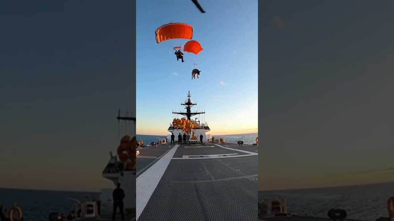 This K9 Drops Onto a Ship in Open Water