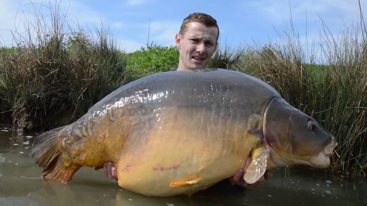Big Carp and Fun FLASHBACK 2019 (pêche de la carpe dans le domaine public)