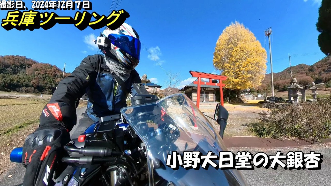【兵庫ツーリングスポット】この秋オススメ。小野大日堂の大銀杏と鬼の階段チャレンジと偶然の再会【GSX250R】