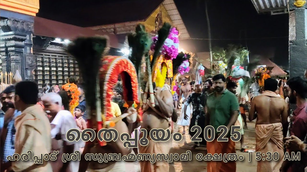 തൈപ്പൂയം 2025 | Haripad Sree Subrahmanya Swamy Temple | 5:30 am