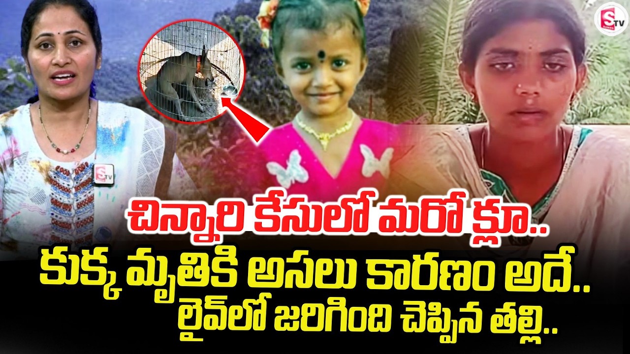 చిన్నారి కేసులో మరో క్లూ.. | Tuni Gnaneswari Mother Live Call with Nirupama | SumanTV Nirupama