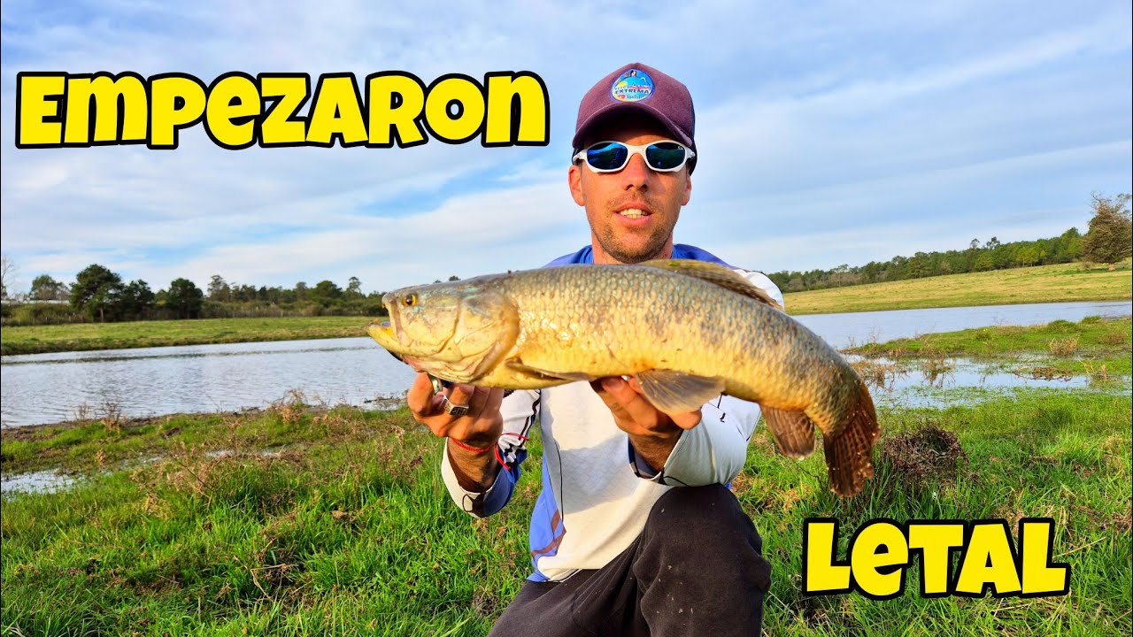 PESCANDO TARARIRAS EN URUGUAY en INICO DE TEMPORADA