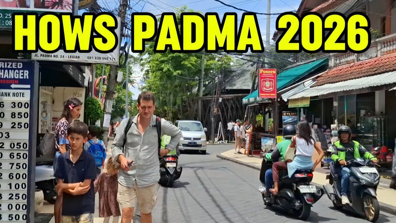 Падма, начало января || Как дела у Падмы сегодня?