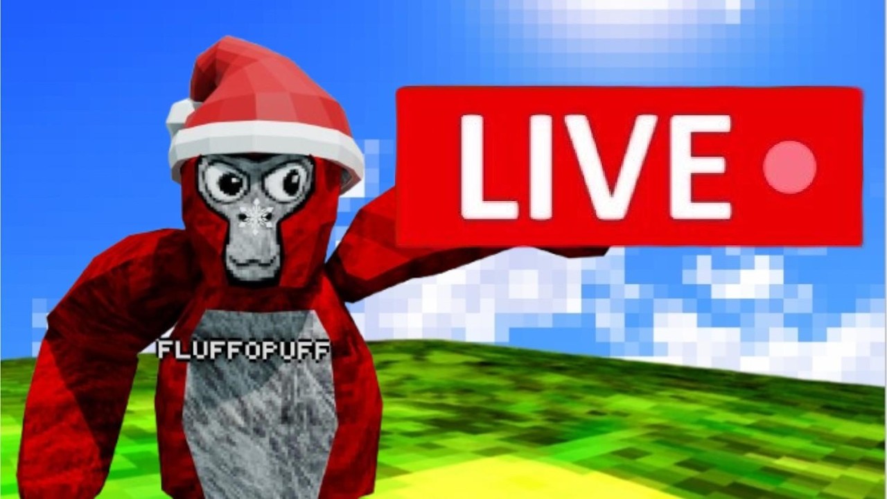 Gtag Live With YOU!