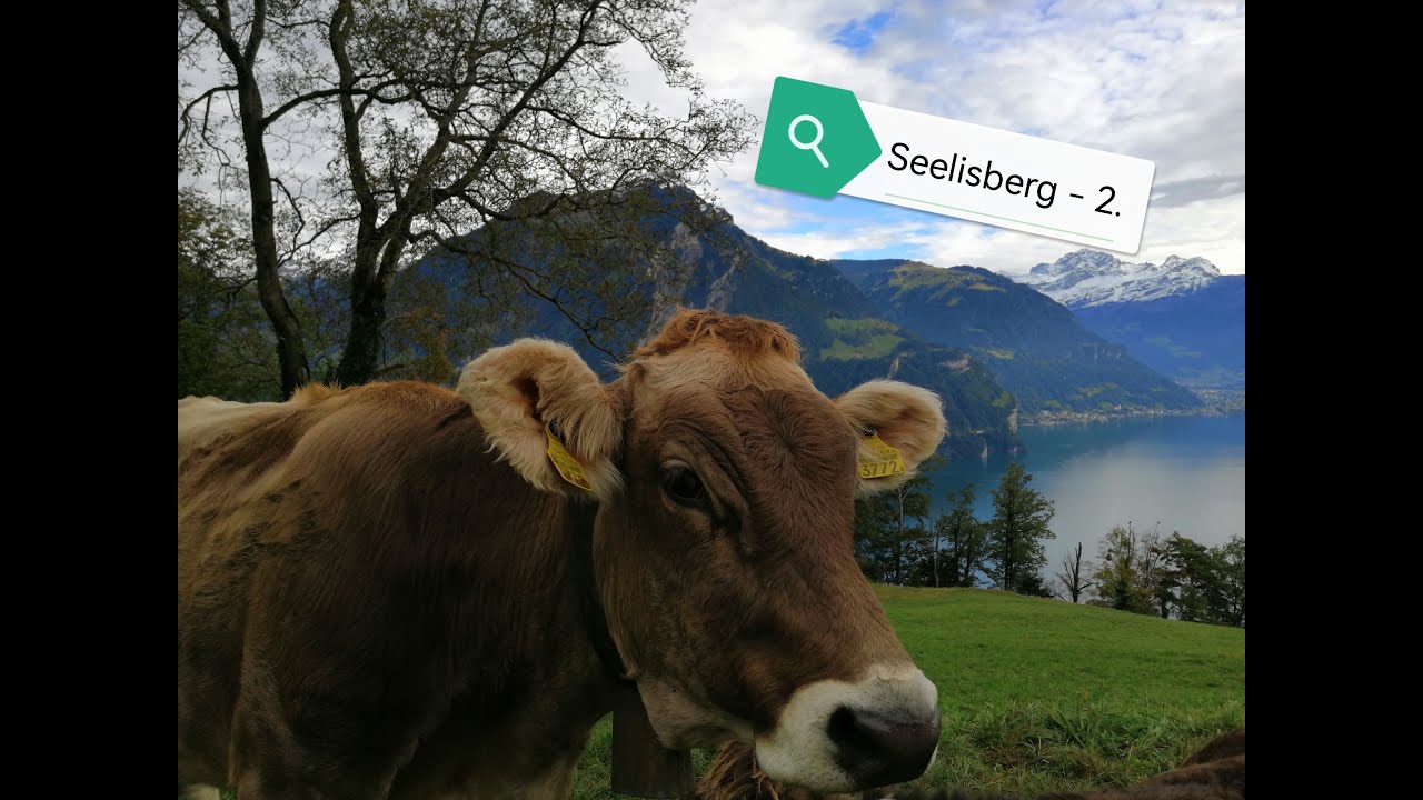 Swiss Alps - Part 2.