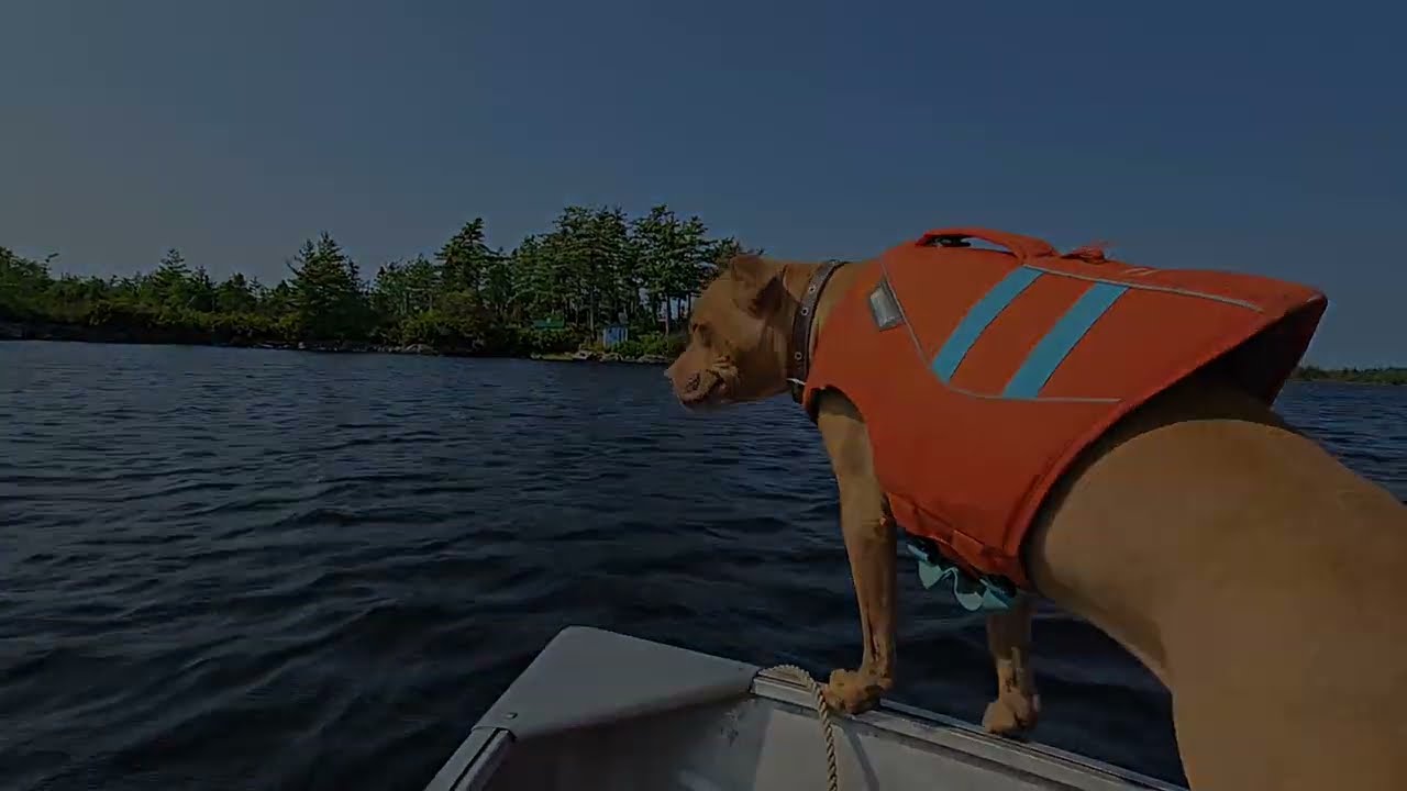 A Scraggy Adventure 