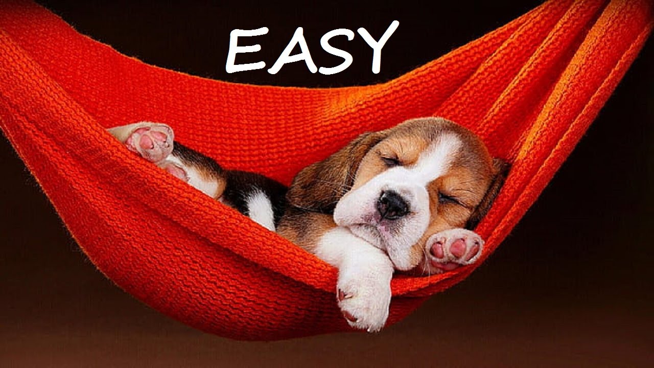 Easy - Lionel Richie (Lyrics)