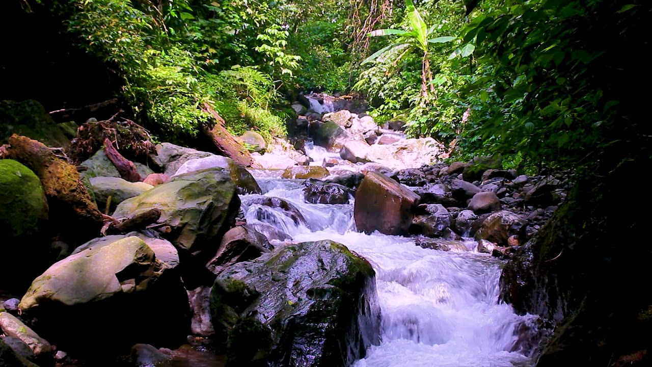 Sleep Instantly with Mountain River | Calm Flowing Water White Noise for Deep Relaxation
