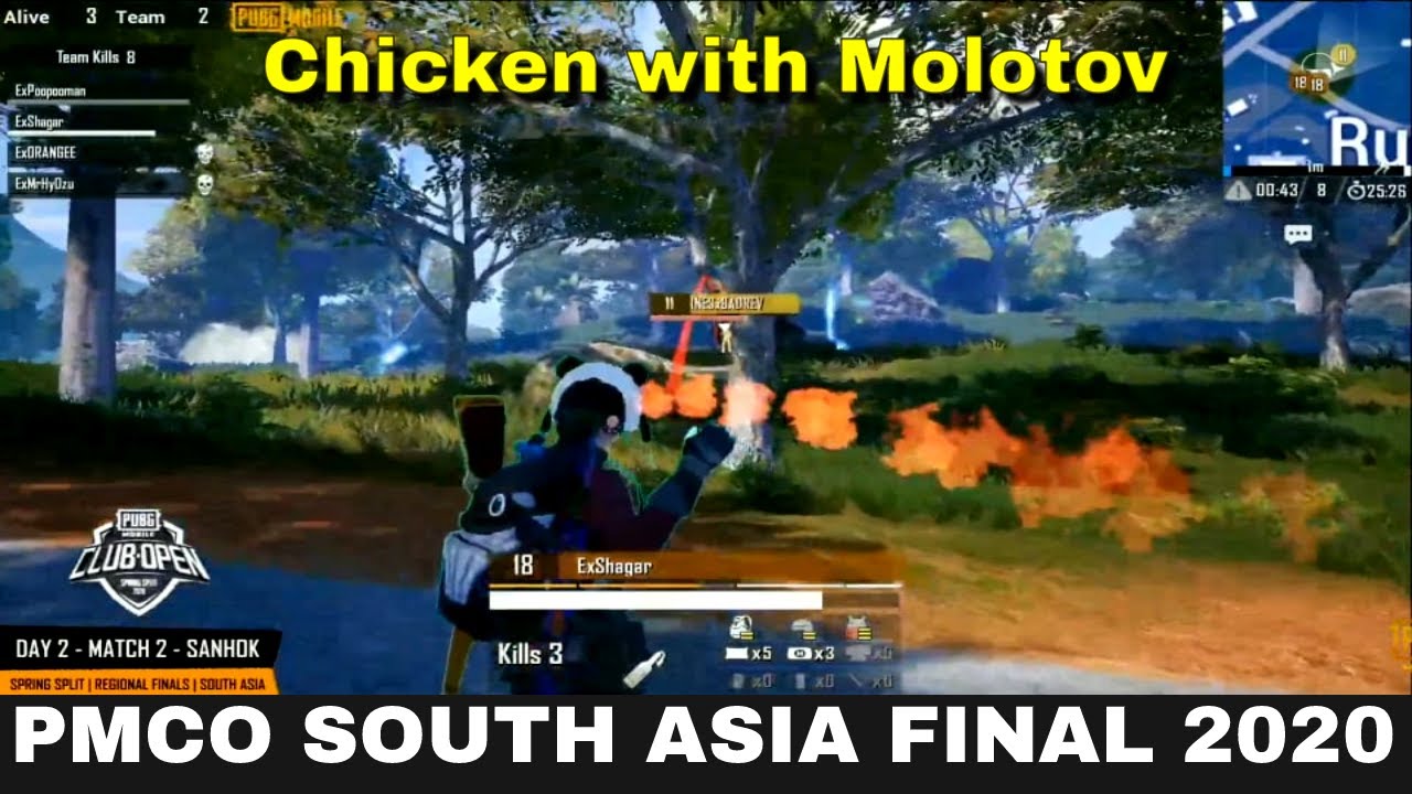 Elementrix's Chicken Dinner || ExSagar burned last guy with Molotov [Pmco South Asia Final 2020]