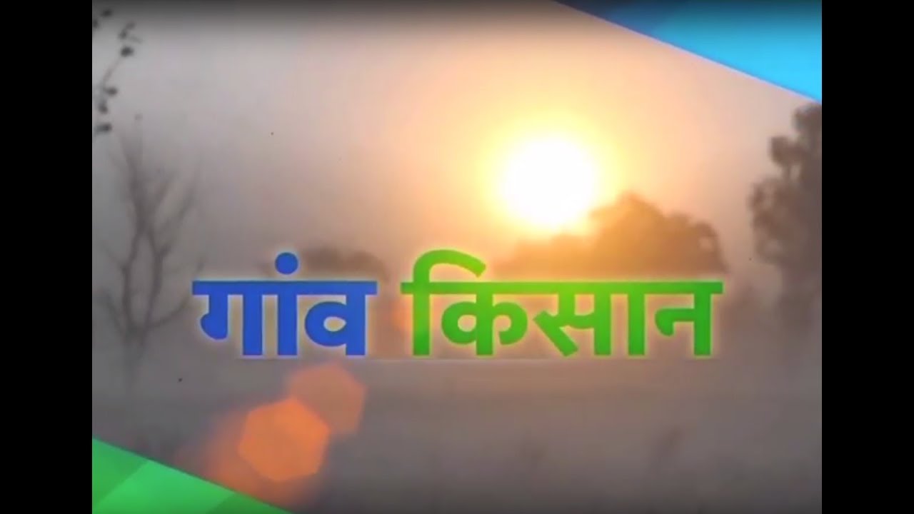 Gaon Kisan - फसलों की किस्मों का चयन