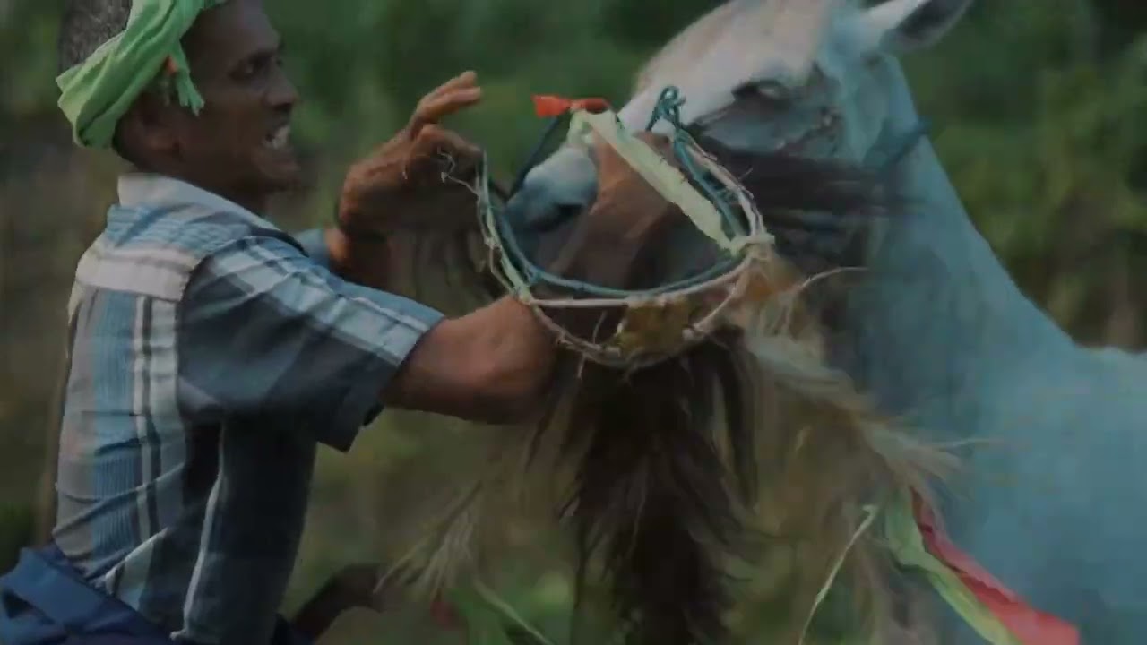 Pasola Festival Sumba: Ancient Tradition Meets Thrilling Adventure