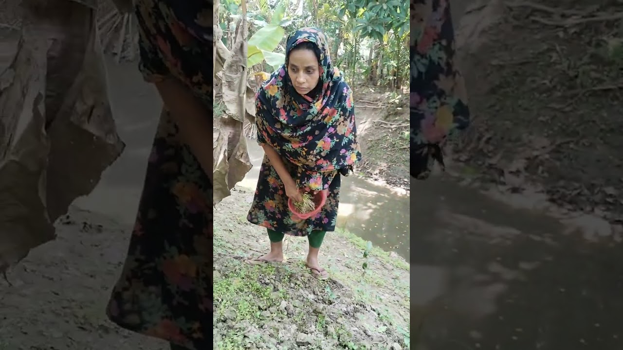 বড় আপুকে নিয়ে শাক তুলতে গেলাম#vlogs #funny #shortvideo 