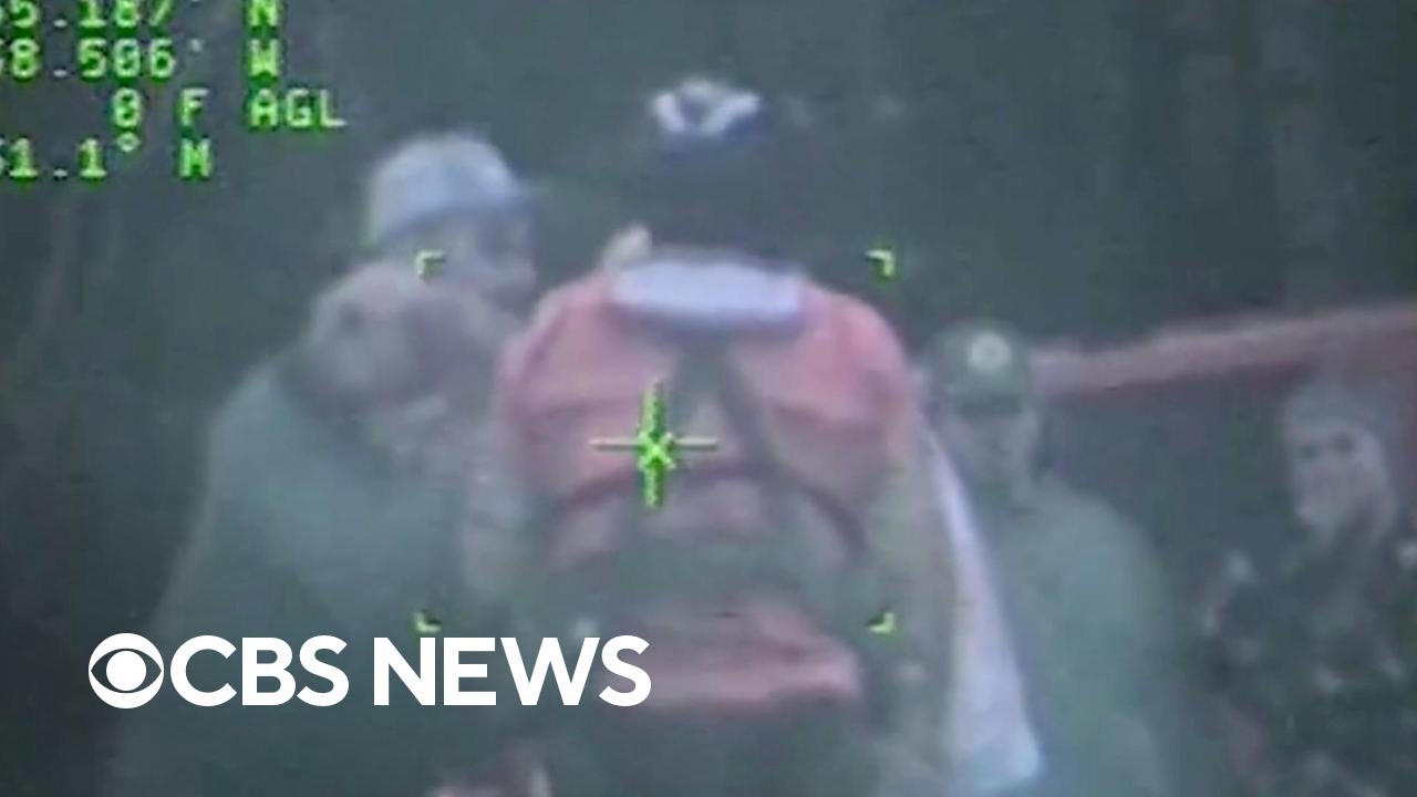 Watch the Coast Guard rescue a dog that fell off a cliff and reunite it with its owner