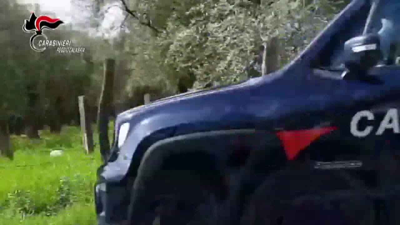 TAURIANOVA: 7 ARRESTI PER PRODUZIONE E SPACCIO DI DROGA