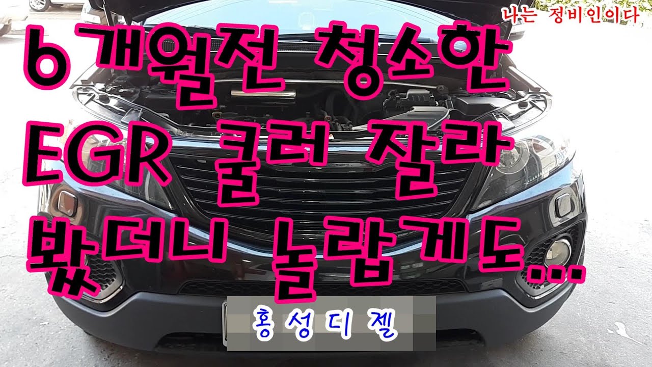 R엔진 EGR쿨러 잘라보니...기가막히네요