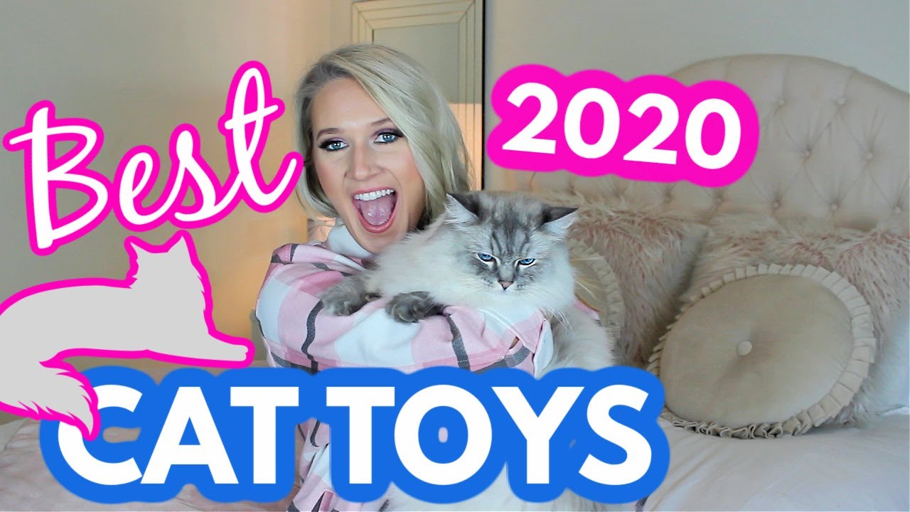 Favorite Cat Toys 2020 | My Cat Shares Favorites and Fails of 2020 | Best Cat Toys | Cat Lovers Only