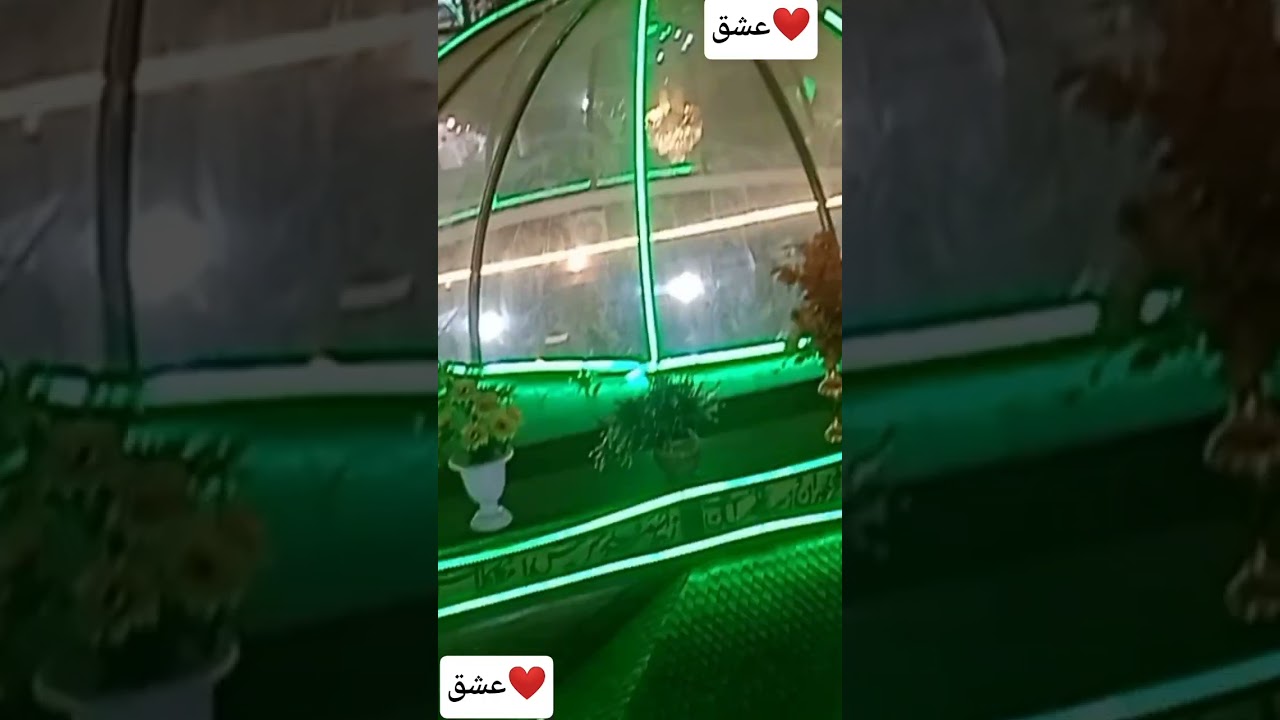 Alaam- daaras halaam daraaas te lohloo..// gm bulbuul //