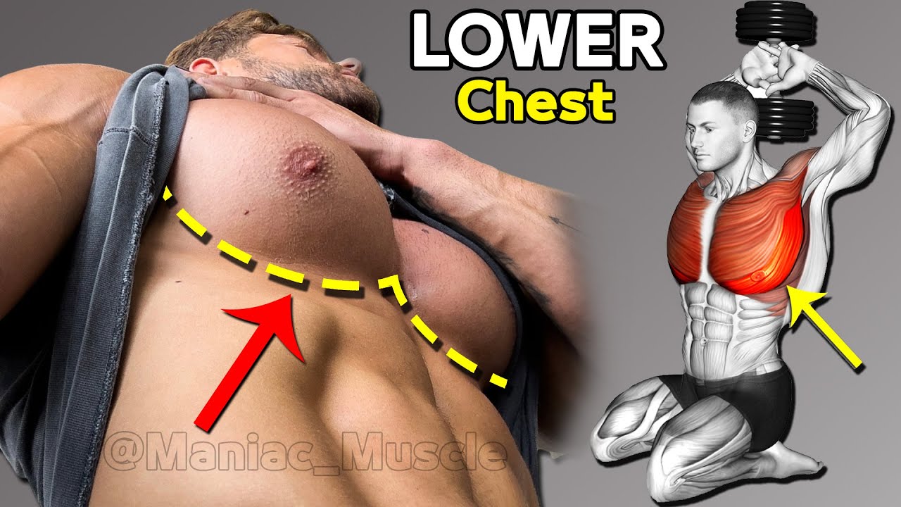 ЛУЧШИЕ УПРАЖНЕНИЯ ДЛЯ НИЖНЕЙ ЧАСТИ ГРУДНОЙ КЛЕТКИ (Очень эффективные)