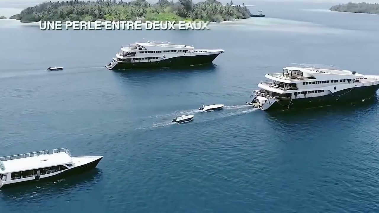 ASSINIE PALM BAY - ADDOHA
