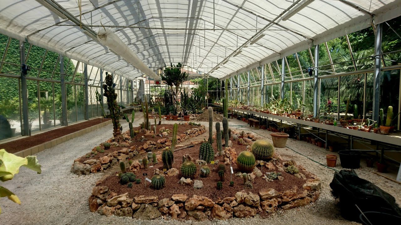 Orto e Museo Botanico di Pisa - Garden and Botanical Museum in Pisa, Italy