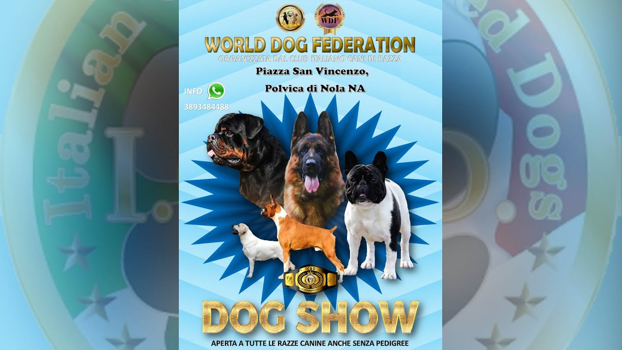 YARA TELEVISION - INTERNATIONAL DOG SHOW POLVICA DI NOLA